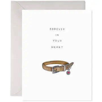 Pet Collar | Dog Sympathy