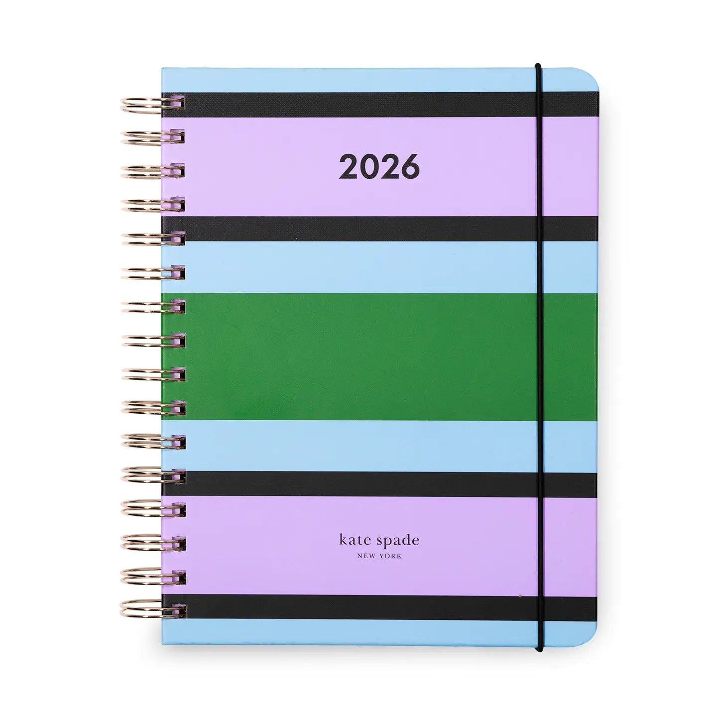 12 Month Large Planner, Downtown Stripe