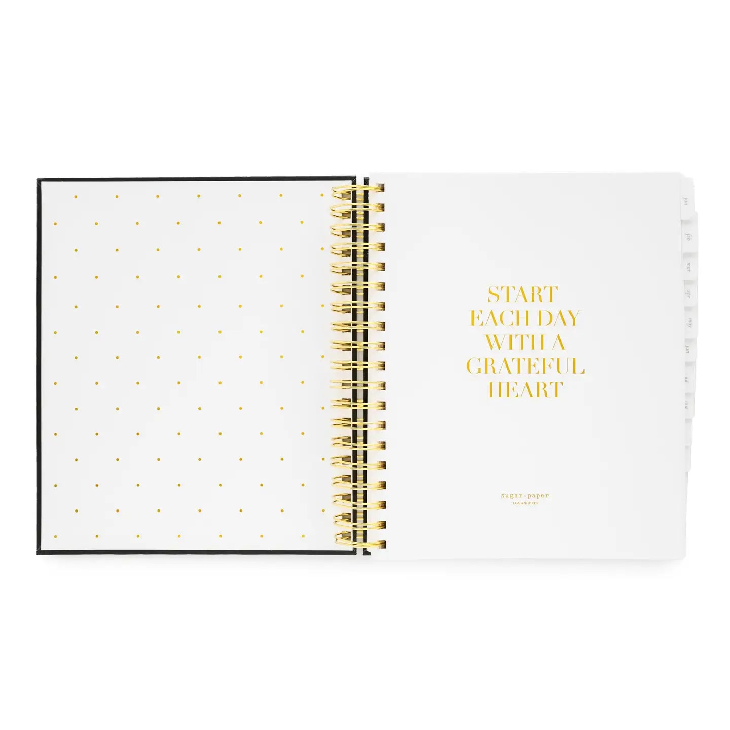 2026 Dusty Blue Daily Spiral Planner