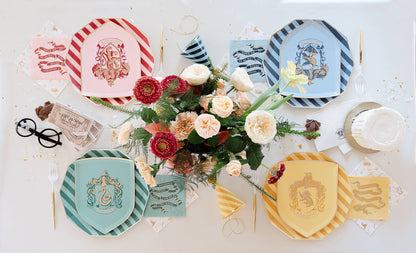 HARRY POTTER X BONJOUR FÊTE HOUSE PRIDE MULTICOLOR HOGWARTS