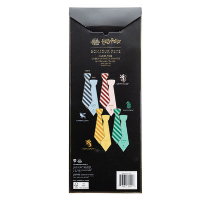 HARRY POTTER X BONJOUR FÊTE HOUSE PRIDE MULTICOLOR HOGWARTS