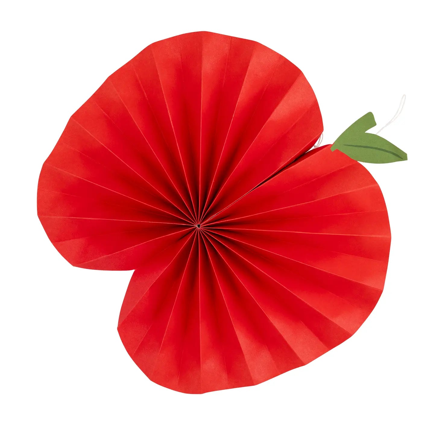 Back To School Fan Set