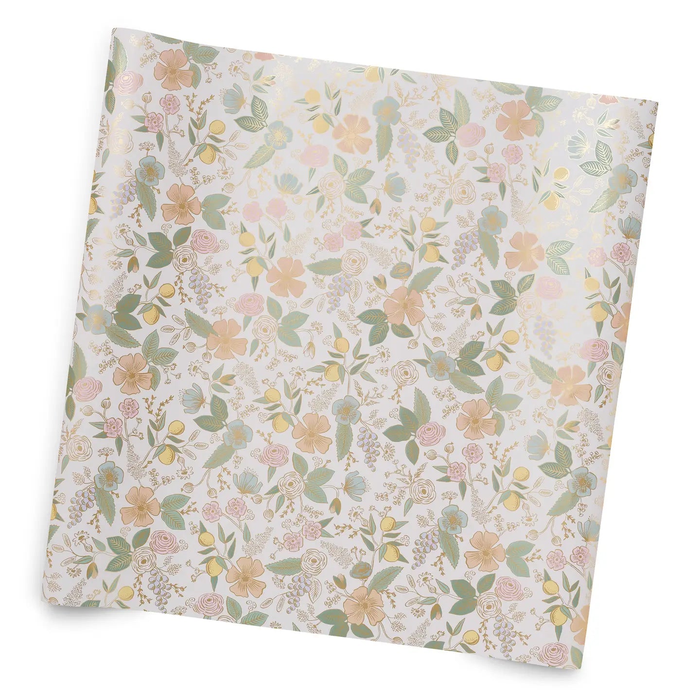 Colette Continuous Wrapping Paper