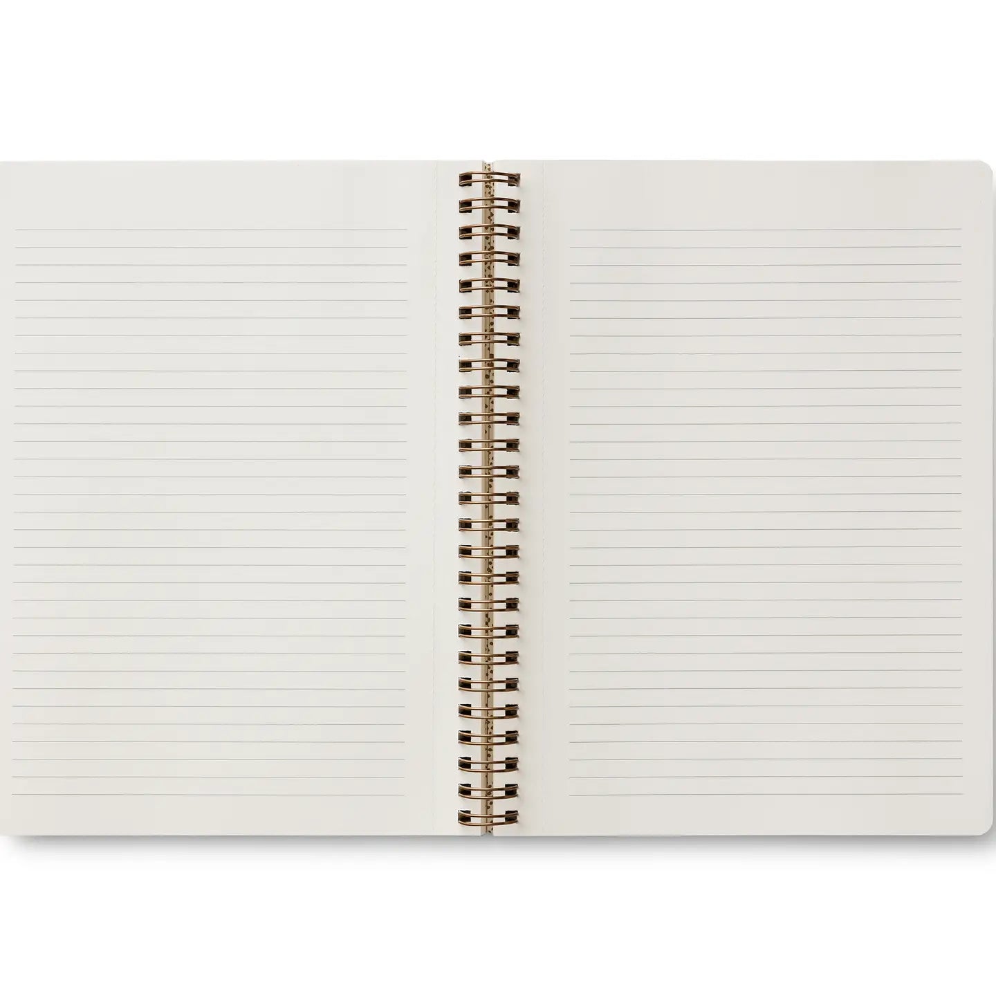 Curio Spiral Notebook