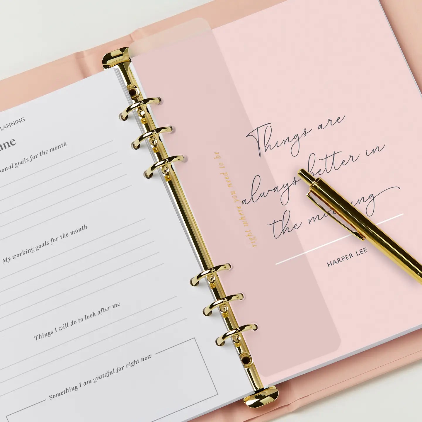 Dream Plan Do Life Planner & Diary (Mid-Year or Undated)