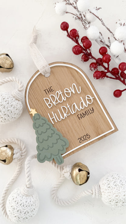 Christmas Ornament 3