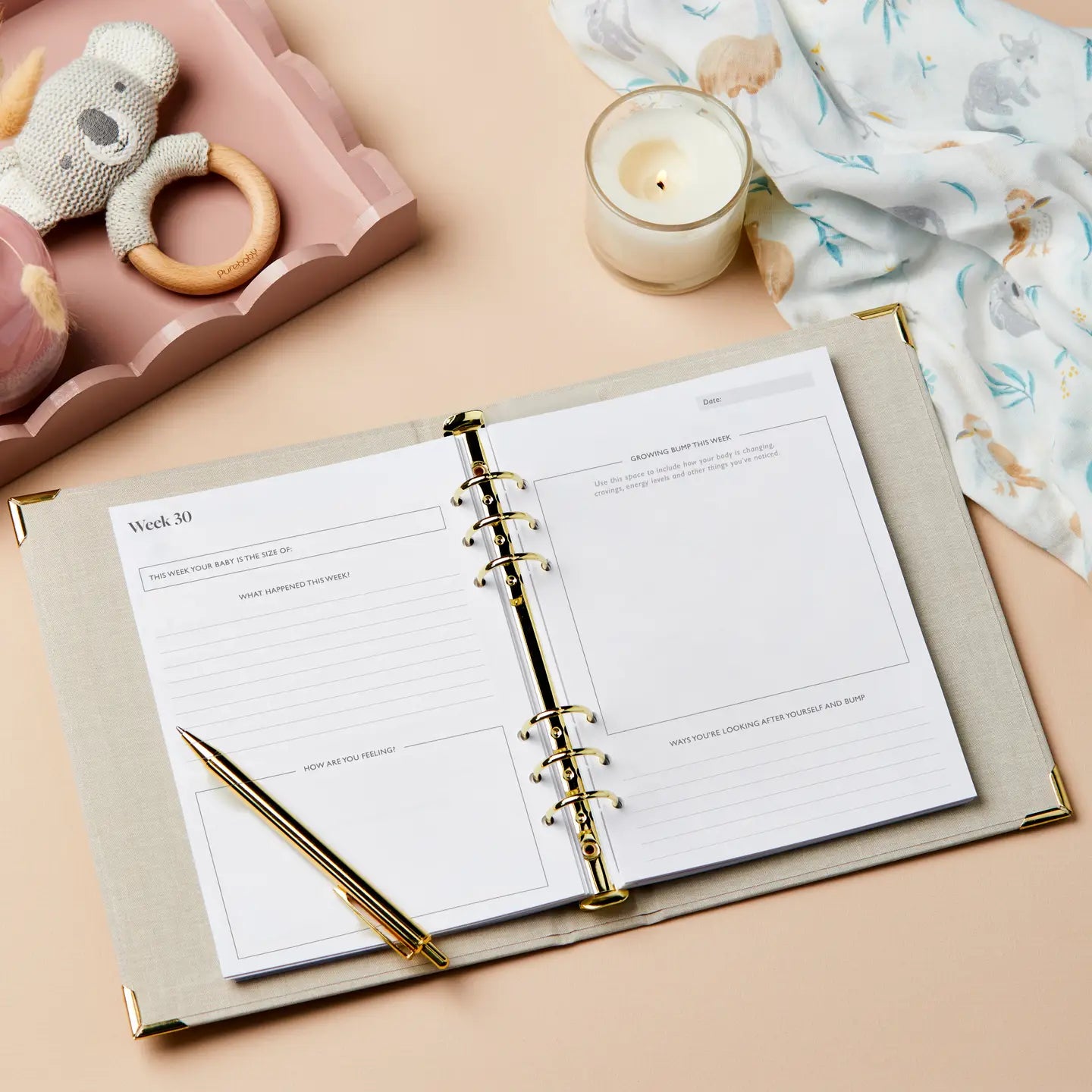 Pregnancy Journal and Organiser (Planner Folder)