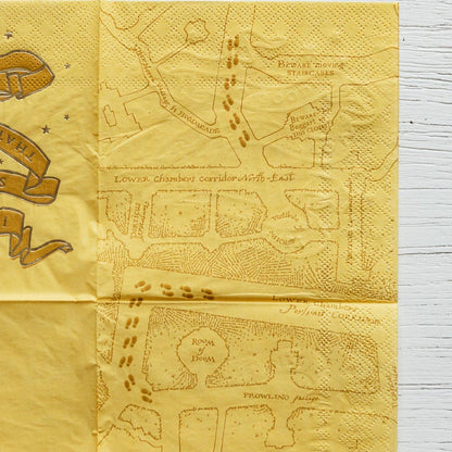 HARRY POTTER X BONJOUR FÊTE HOUSE PRIDE SMALL PARTY NAPKINS