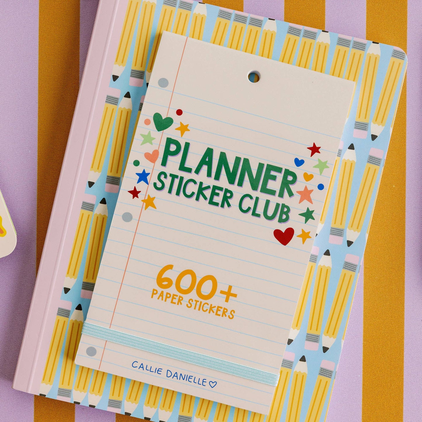 Planner Sticker Club – Positivity & Planning Sticker Book