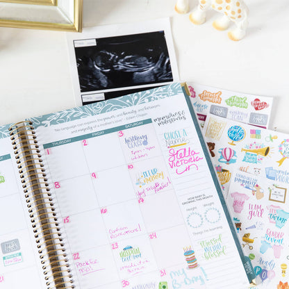 Pregnancy Sticker Pack