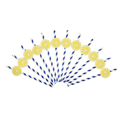 Lemons Paper Straw